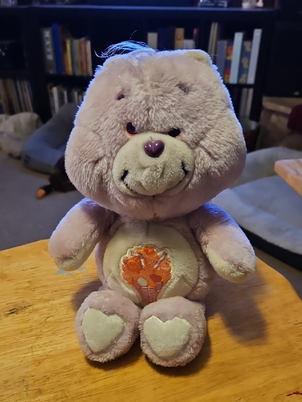 Vintage 80's Share Bear Care Bear 13 Inch